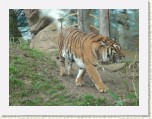 P1070387 * 2304 x 1728 * (1.66MB)