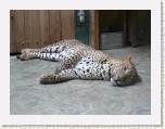 P1070389 * 2304 x 1728 * (1.59MB)