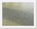 P1070391 * 2304 x 1728 * (1.48MB)