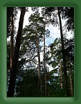 P1080648 * 2304 x 1728 * (1.65MB)