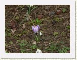 P1070711 * 2304 x 1728 * (1.75MB)