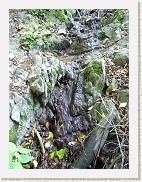 P9221157 * 2048 x 1536 * (1.52MB)